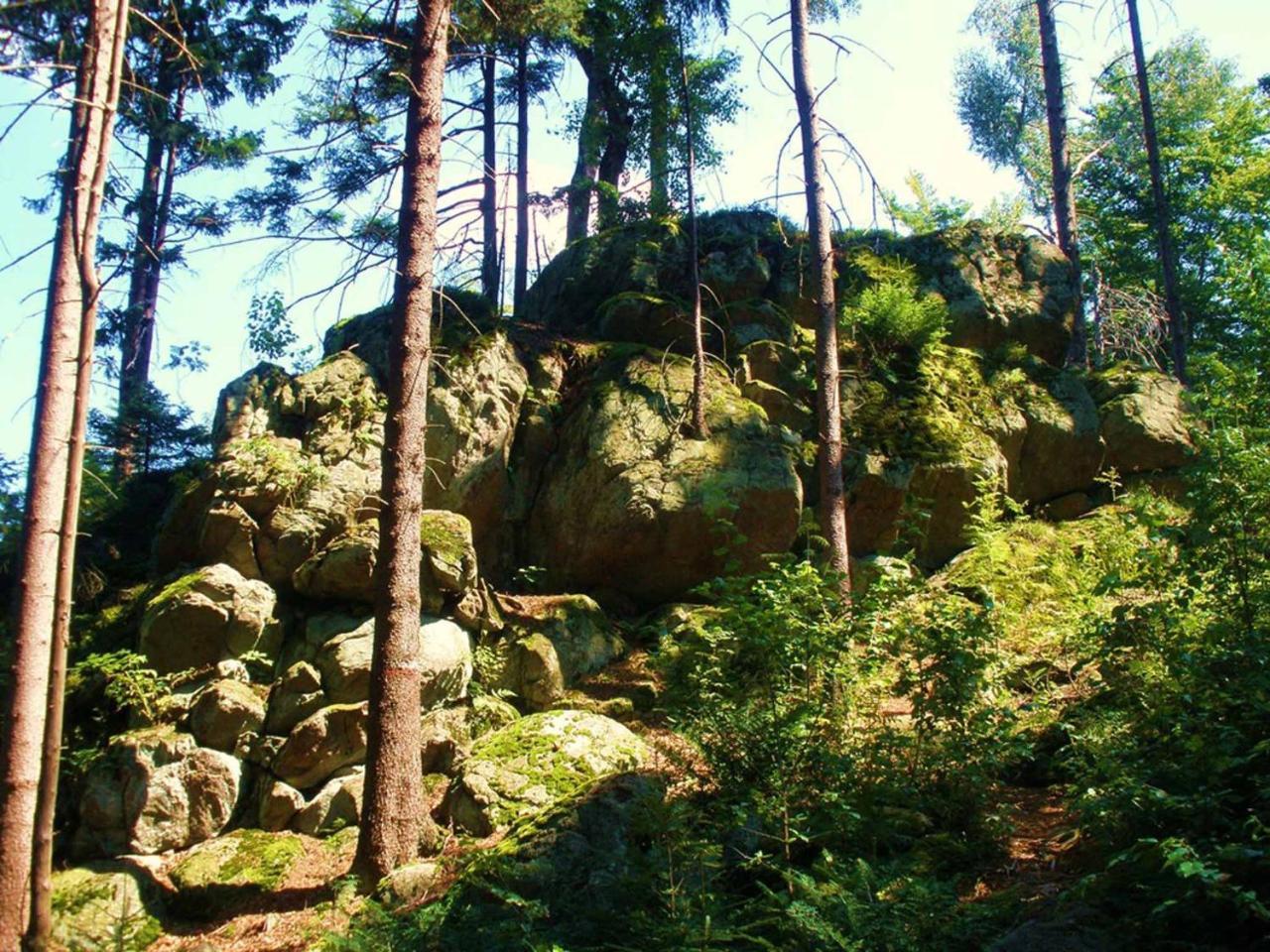 Ferienwohnungen Waldblick Waldmuenchen Exterior photo