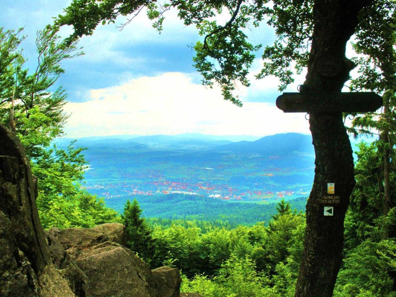 Ferienwohnungen Waldblick Waldmuenchen Exterior photo