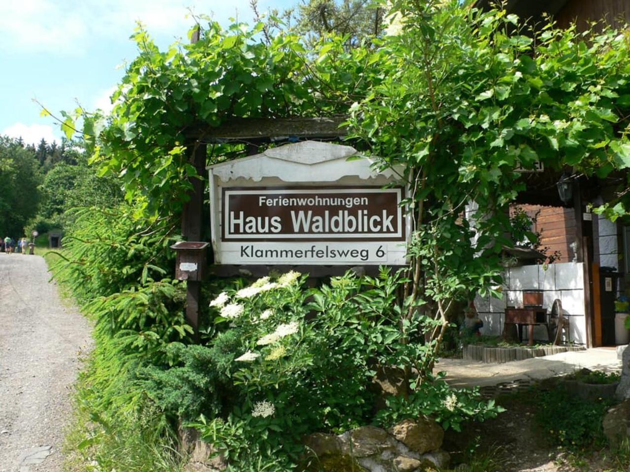 Ferienwohnungen Waldblick Waldmuenchen Exterior photo